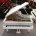 Bösendorfer 225 WH