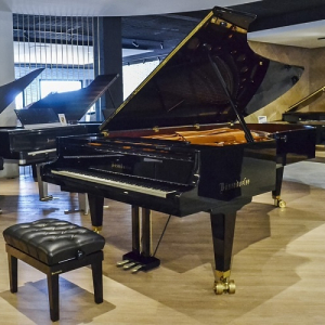 Bösendorfer Imperial 290