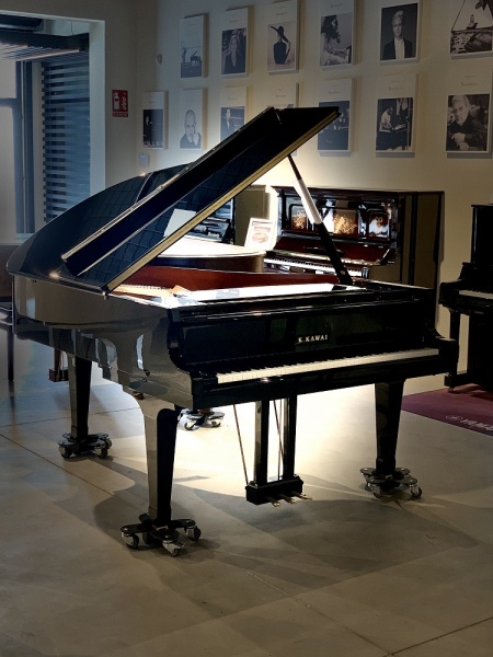Kawai GX3