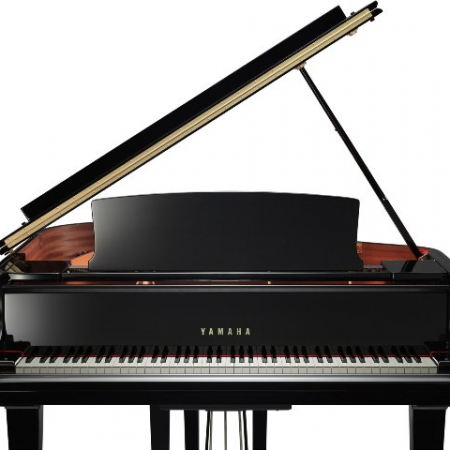 Abuso Pionero Superar Pianos de Cola | Pianos Nuevos y de Ocasión | Tienda Royal Pianos