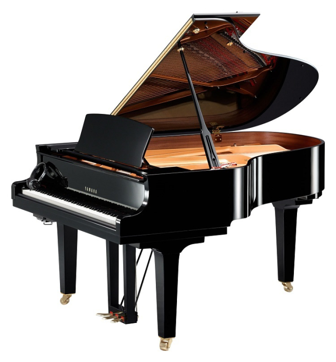 Yamaha C6X