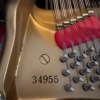 Steinway D Victoriano