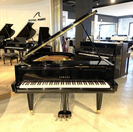 Yamaha G2