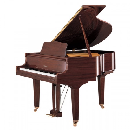 Yamaha GB1 Nogal Pulido