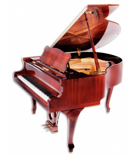 Petrof P 159 Bora Demichippendale