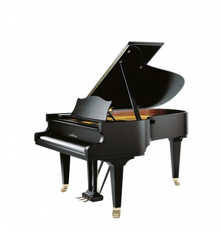 C Bechstein A192