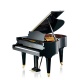 C Bechstein L167