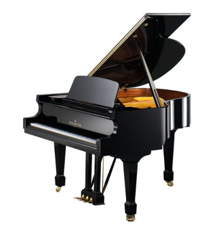 C Bechstein A160