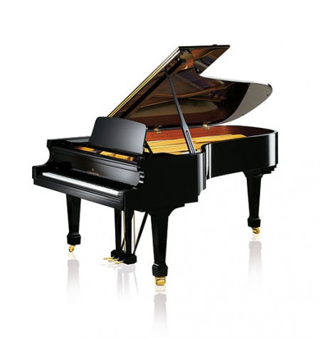 C Bechstein A228