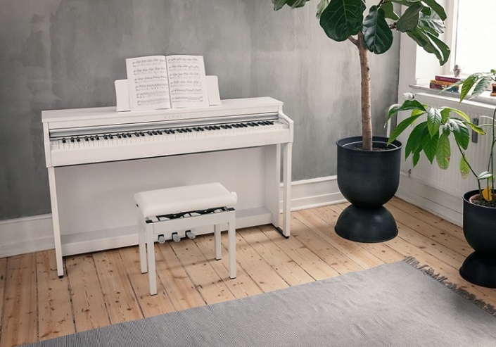KAWAI CN 201