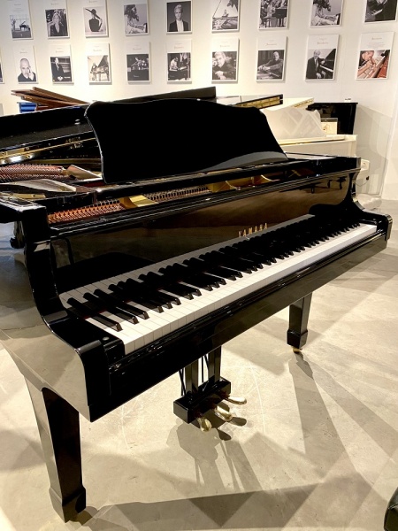 Yamaha G2