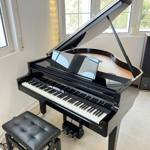 Roland GP9