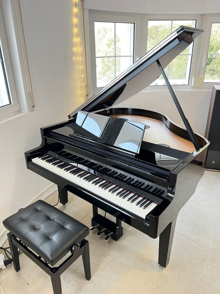 Roland GP9