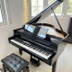Roland GP9