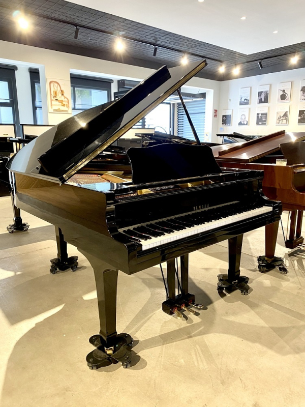 Yamaha G3