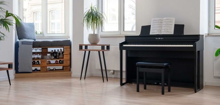 Kawai CA401