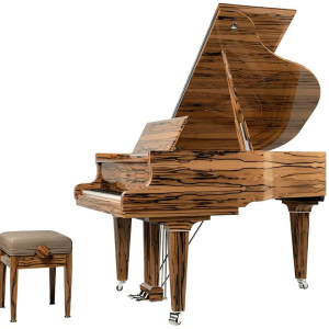 SCHIMMEL ROYAL WOOD C 169 -1