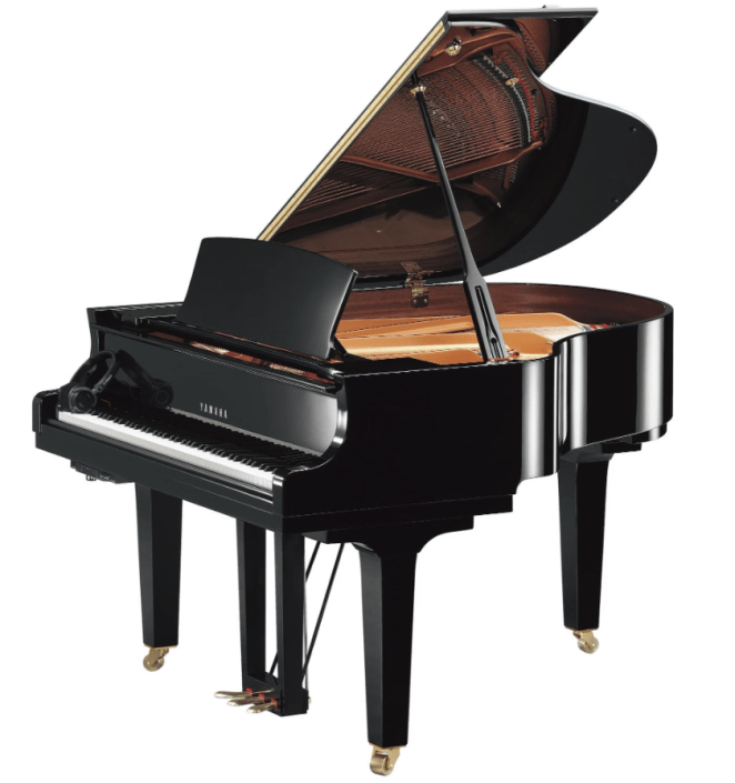 Yamaha C1X SH2