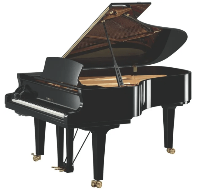 YAMAHA C6X SH3