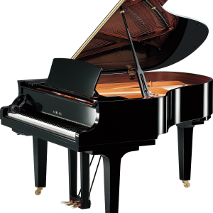 Yamaha C2X SH3