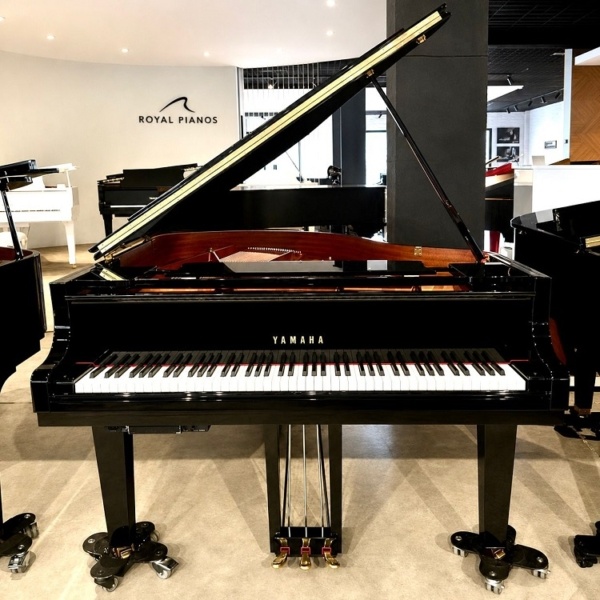 Yamaha C1XSH3