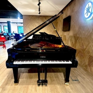Fazioli F212