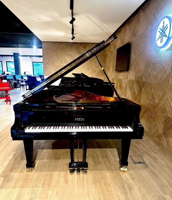 Fazioli F212