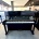 Kawai K25