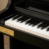 Casio Celviano AP-750