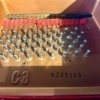 Yamaha C3