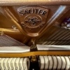 Sauter Ragazza 122