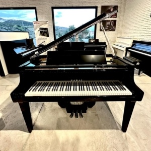 Kawai Novus 12