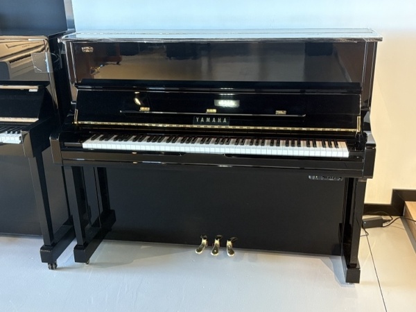 Yamaha YS10