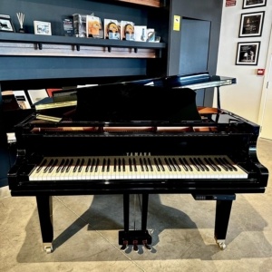 Yamaha GC1 Pianodisc