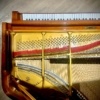 Steinway O Indian Apple