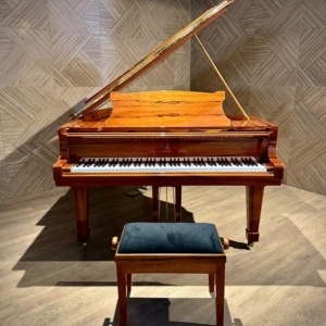 Steinway O Indian Apple