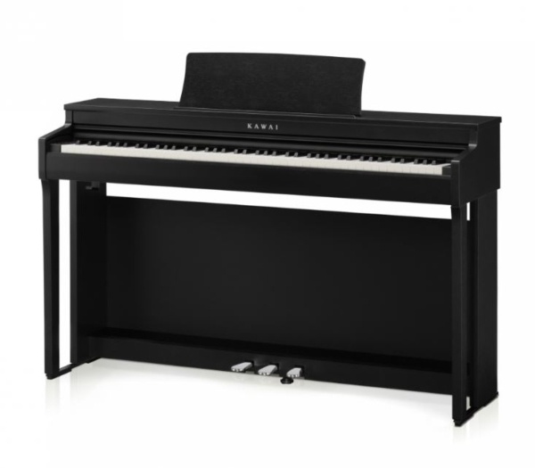 KAWAI CN201B