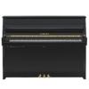 Yamaha B10TC3 PE transacoustic