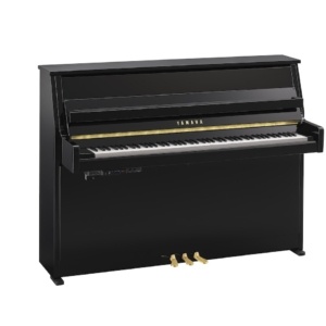 Yamaha B10TC3 PE transacoustic