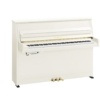 Yamaha B10TC3 PE transacoustic