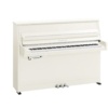 Yamaha B10TC3 PE transacoustic