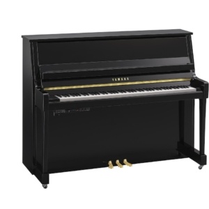 Yamaha B20TC3 PE