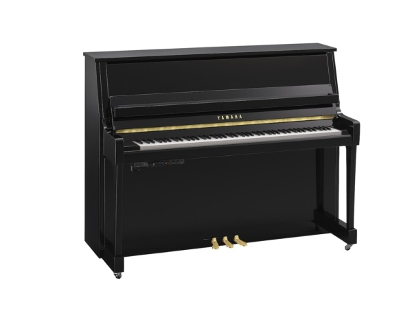Yamaha B20TC3 PE