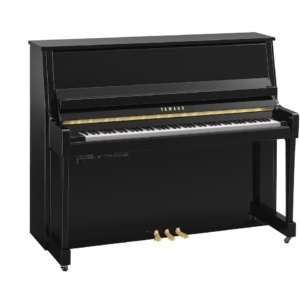 Yamaha B30TC3 PE
