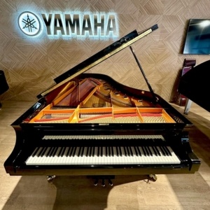 Yamaha CF6