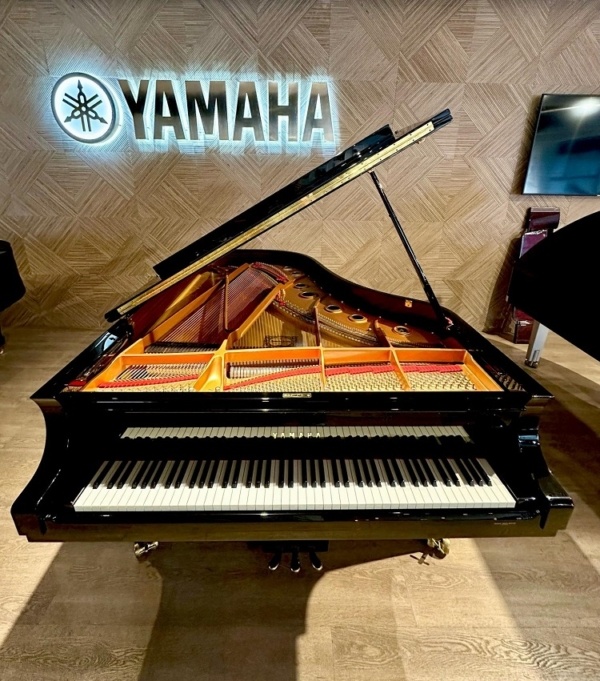 Yamaha CF6