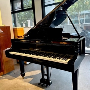 Yamaha G2