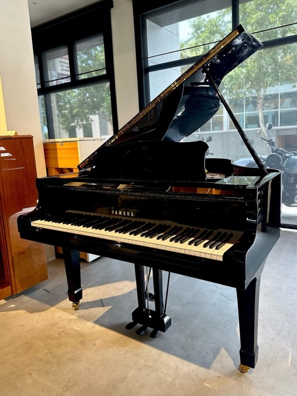 Yamaha G2