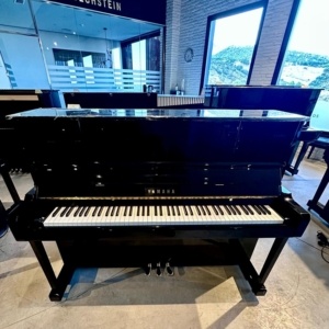 Yamaha YU118DNS