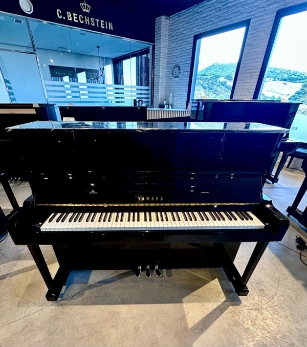 Yamaha YU118DNS